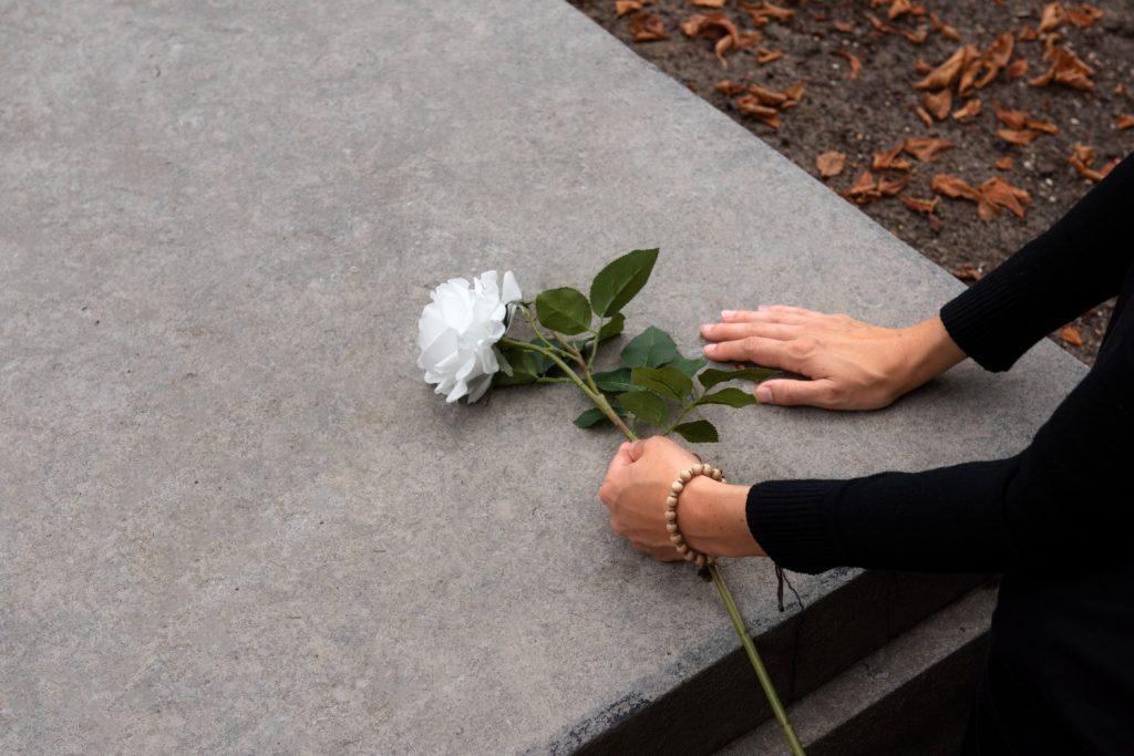 White rose laid in remembrance on International Overdose Awareness Day